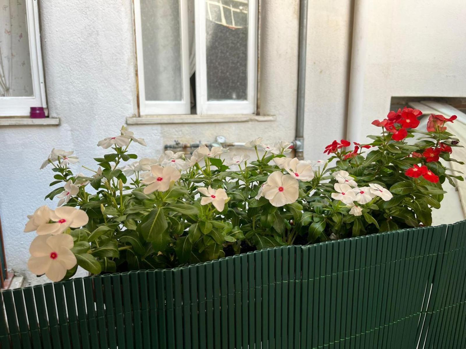 巴勒莫Casa Dei Nonni Di Yuri住宿加早餐旅馆 外观 照片
